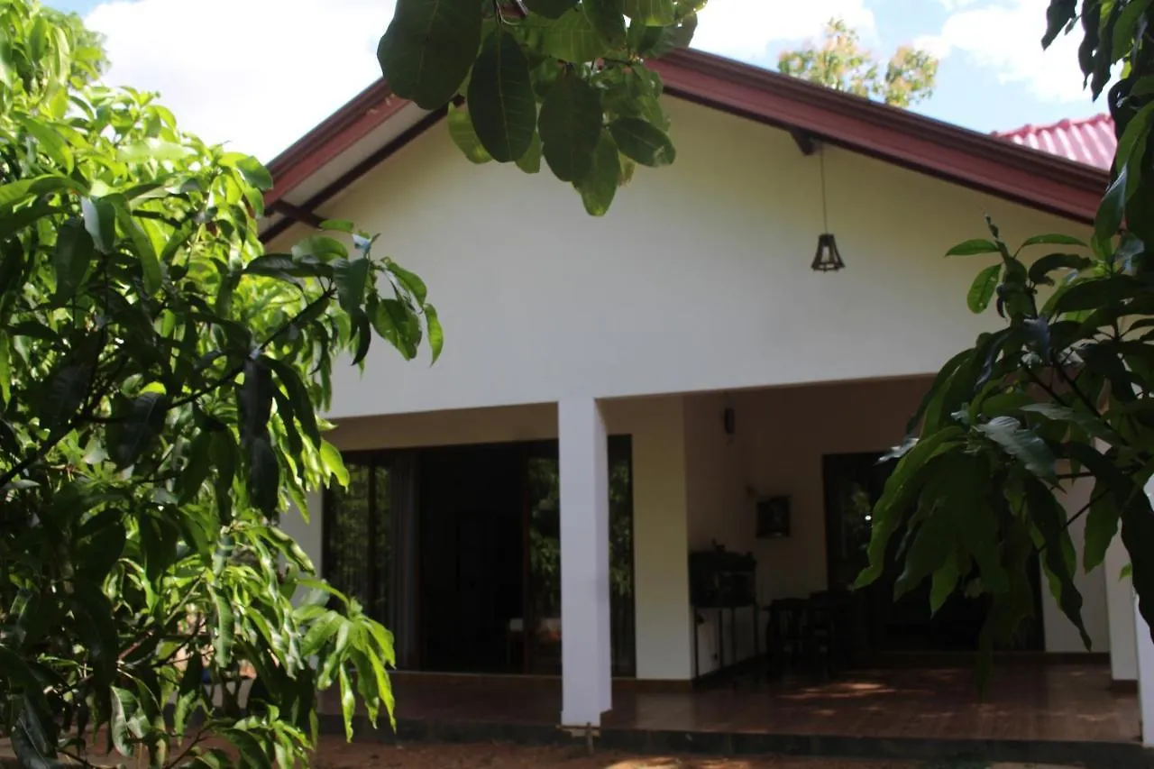 Cinty Guest House Dambulla